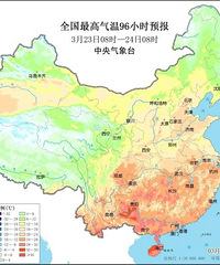 ���29�棡������������