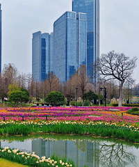 88�����MM������ϣ���̸һ�������ֵ�����