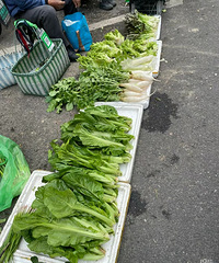 �۾������Ĳ�һ������ʵ����ү���Ĳ���������