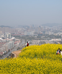 ��������ͷ�Ͳ˻���ɹͼ