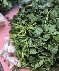 �������ʲô��������Ҫ�Լ��λ��ݳ���