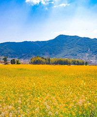 �������û�����ܾܾ��ٺ���Щ�Ͳ˻�������磡