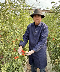 ����С�����ֳ��á��ᡱ����һĶ��ʵ����4���Ԫ