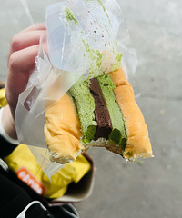 ��ɭ�����������ó�ѽ