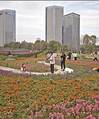 �������ֱ��31�����»��� ����� ���� ת��Ƶ��