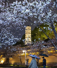 ���31�棡�ٱ���10�棡̨�ݼ�����ת������...