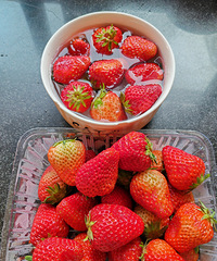 [�����ʲô]��ݮ�����