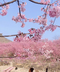 ���۸��᡿���գ������ã������ͻ�̤��ȥ�ĺ��ʣ�