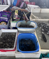 ����7Ԫ/��㽭�˰��Ķ�����ζ�������У��ϰ壺�����Ǽ�