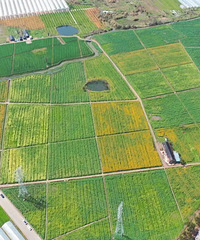 ������Ƭ�����������ˡ�Ī�εĻ�԰��