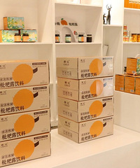 ������ɣ���ǿ·���������ʽ����