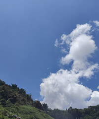 Ů���ҳ�˵�Ҳ���������������Ϣһֱ���������İ�