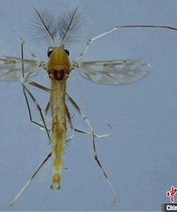 �����˵����ӣ�̨��ѧԺ�����Ŷӷ���������