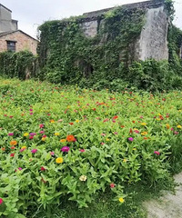 ��Υ����ʧ���������������ô������