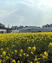 ·���Ͳ˻���󼯺ϣ��ߣ�һ���ͻ�ȥ��