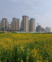 [2024̨���Ͳ˻���ͼ]̨��������Կ��Ͳ˻���