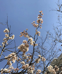 �ȵ��϶��䣿�𼱣���ת�ڼ������꽵������·��