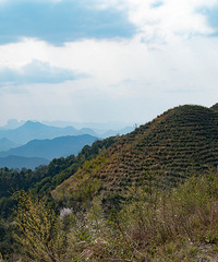 �Լ���ͷ-��Ϫ-���»� ���ߣ��ɾ����·���Բ�