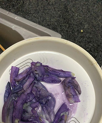 ���ڵ����ӻ��ܳ���