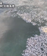 �ձ�����Ư���������㡰40�����һ�μ������������棺��Ҫ�Ӵ���