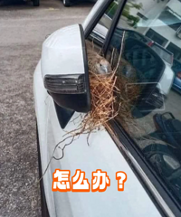 �⳵�ǿ����ǲ��������ż���զ���أ�