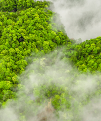 ���ɾ��ع����Ա�ֽ������