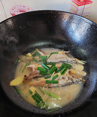 [�����ʲô]�����㣬����������