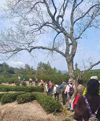 ¦�����¿�߷�������