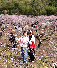 �һ�����Ц����