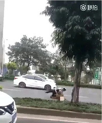 ��Ƶ�贫�����˽�ͷ�㱼�����ػ�Ӧ