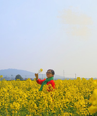 �ͷ�����ů�����ǽ������´�