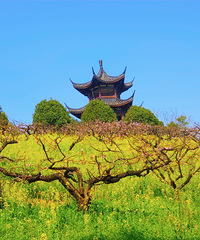 �ͷ�����ů�����ǽ������´�