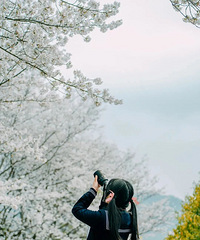 ������Ϣ���ٺ�ӣ����������ģʽ��