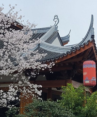 ӣ��������b��