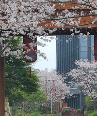 ӣ��������b��