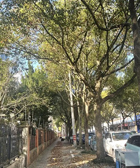 ̨�ݽ�ͷ�������֣�С��·�桰�����顱