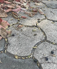 ̨�ݽ�ͷ�������֣�С��·�桰�����顱