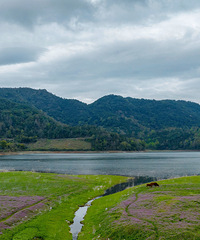 ̤�ࣺϪ��ˮ�⡢С֥ӣ���̵�