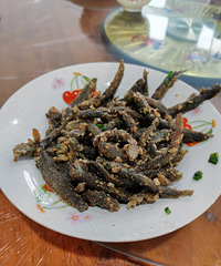 [�����ʲô]����Ը���