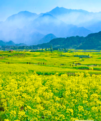 ����ס�ˣ�һ����ɾӴ����޶�������