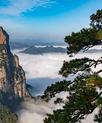 ���ɾӾ�����զ������������ô����ͷ����