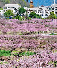 �һ����Ͳ˻�������ͨ����������