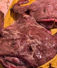 �ڲ˳�������һ������ޱ�����һ̲�������