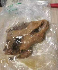 ��Ѽ��ض������Ĵ��ʼĵ�̨��