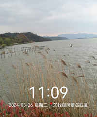 �߽����㲽���������-С�ٲ��� ��������Ǯ���������