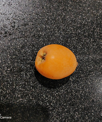 ��Ϊ���ڵ����˲��óԣ����ζ������