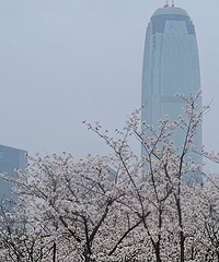 ����㳡ӣ����