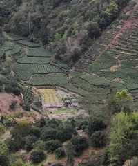 ��¼2024���һ��¶Ӫ