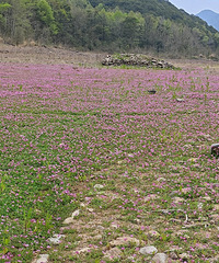 ̨�ݶ�����������ͽ��