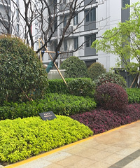 С�����������������ɫ�� �̻�����û�в��